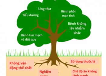Thông báo tuyển ứng viên nghiên cứu bệnh không lây nhiễm dành cho thực tập sinh trình độ sau Tiến sĩ